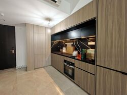 Irwell Hill Residences (D9), Apartment #478596271